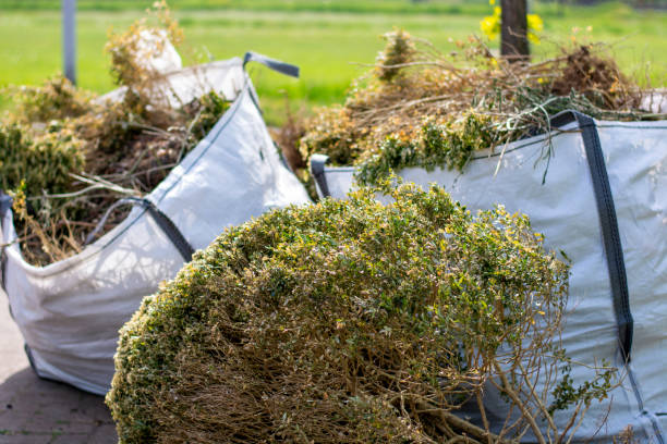 Best Trash Removal Near Me  in Plattsburgh West, NY